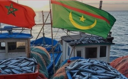 Morocco and Mauritania Strengthen Fishing Cooperation