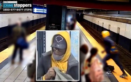 Person Pushed onto NYC Subway Tracks in Random Attack (video)