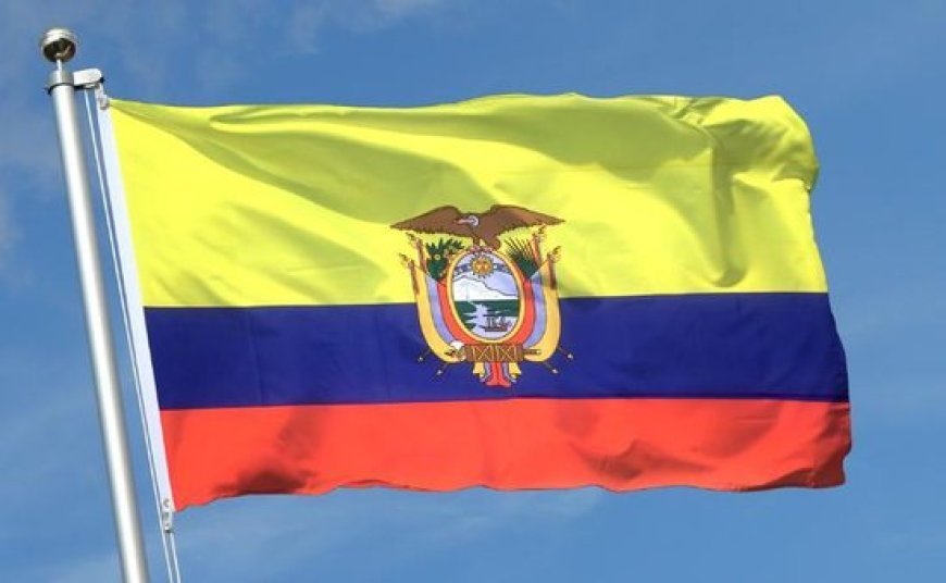 Moroccan Sahara: Ecuador stresses the importance of the Initiative for Moroccan autonomy.