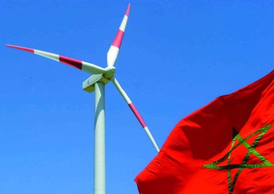 Morocco could become a world power of green energy (Institute).