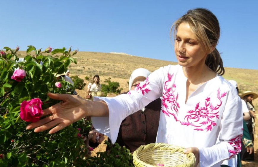 Asma al-Assad Battles Leukemia with 50% Chance of Survival