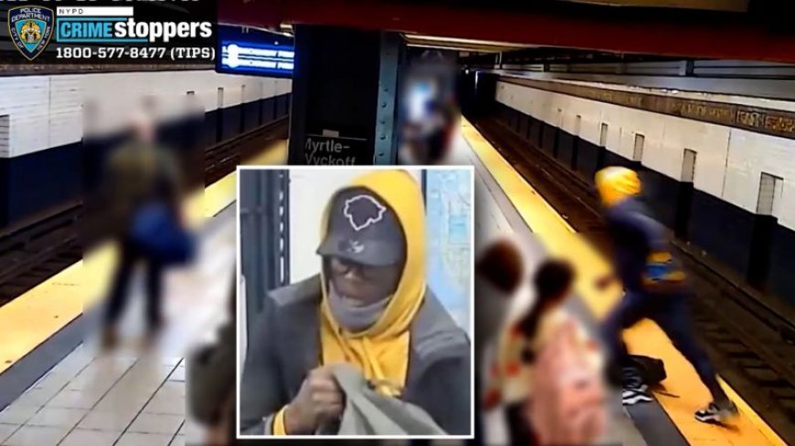 Person Pushed onto NYC Subway Tracks in Random Attack (video)