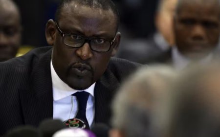 Mali Accuses Algeria of Persistent Interference and Support for Terrorist Groups