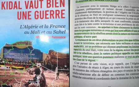 Algeria-Mali Relations: A Diplomatic Perspective on Regional Security Challenges