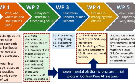 The Unconventional ‘Coffee Can’ Budgeting System That Saves You Thousands