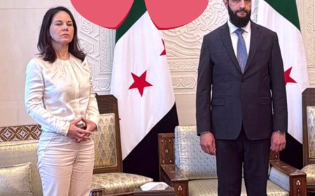 German Foreign Minister's Visit to Syria: A Diplomatic Snub (video)