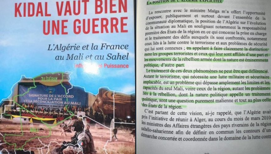 Algeria-Mali Relations: A Diplomatic Perspective on Regional Security Challenges