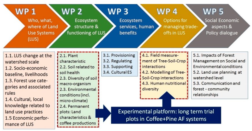 The Unconventional ‘Coffee Can’ Budgeting System That Saves You Thousands