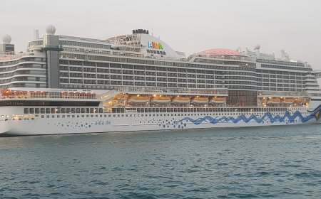 Must-Have Items to Pack for a Family Cruise Adventure